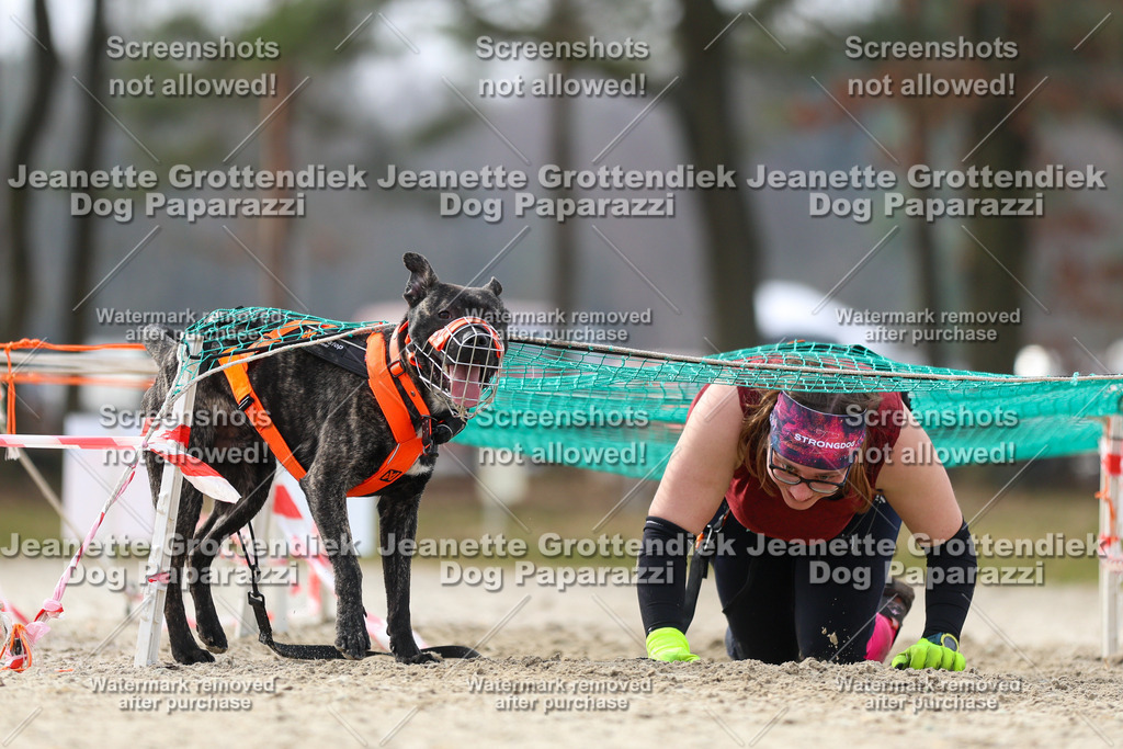 Dog Paparazzi - Strongdog North Mrz26-5242 | Dog Paparazzi Jeanette Grottendiek Fotografie & Videografie - Realisiert mit Pictrs.com