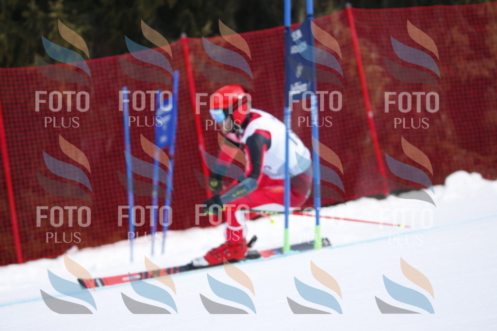 D7796 | holidayphoto