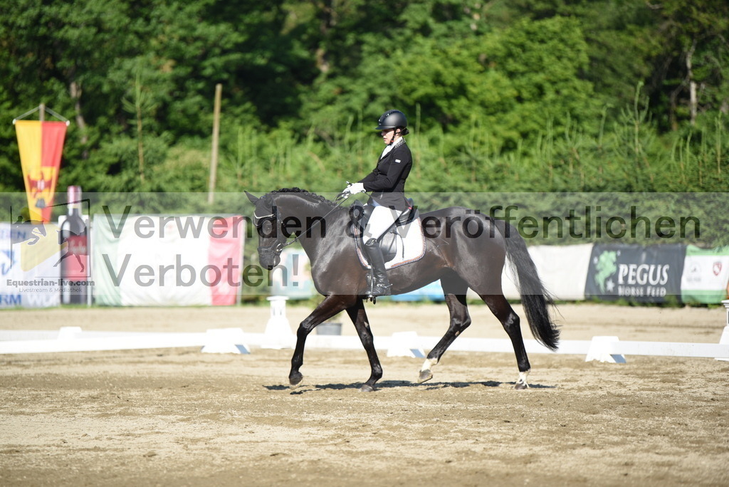 DSC_7082 | equestrian-live-com