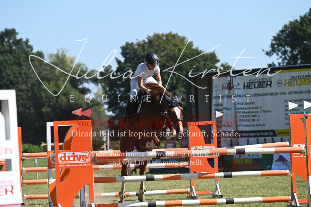 DSC_6405 | Pferde- und Turnierfotografie in Westsachsen. Pferdeportraits, Auftragszeichnungen und intuitive Kunst.