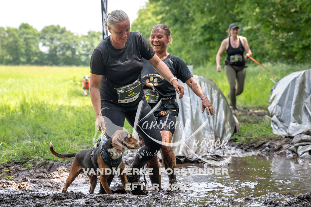 1228_ZZ92447 | kk-dogfotos