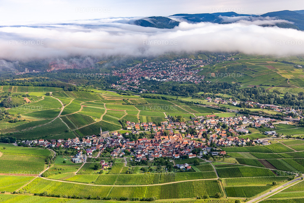 Luftbild: Weinort von Süden in Birkweiler im Bundesland Rheinland-Pfalz in Deutschland. Foto: IMG_142960.jpg vom 03.08.2024 durch Werner Riehm/FLY-FOTO.de