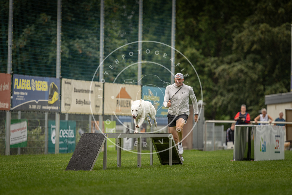 Pfotenfotografie_DV3A8638 | Hundefotografie, Tierfotograf, Pfotenfotografie, Fotoshooting Hund, Hunde Portrait, Hundesport, Hundeportraits, Heideshooting, Hunde, Sportfotograf, Hundefotograf, Turnierhundsport, THS,  - Realisiert mit Pictrs.com