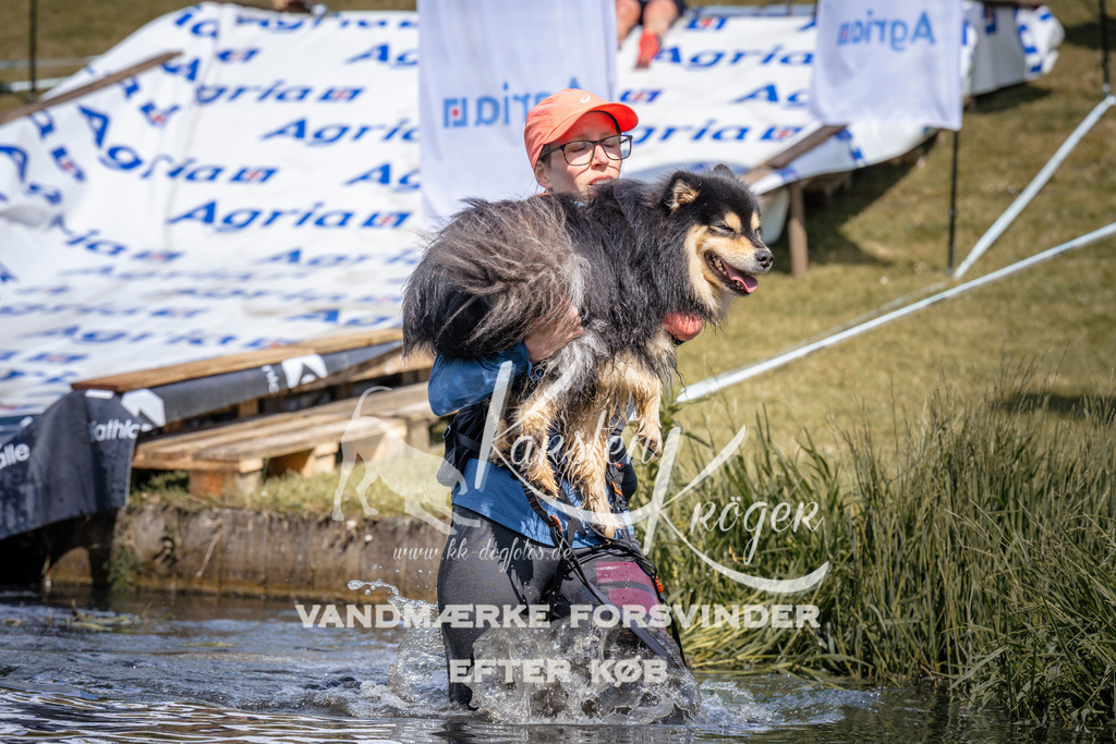 _ZZ934250938 | kk-dogfotos