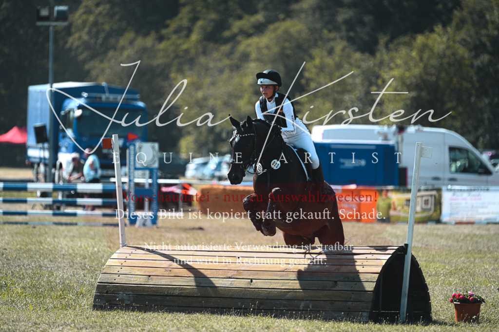 DSC_8205 | Pferde- und Turnierfotografie in Westsachsen. Pferdeportraits, Auftragszeichnungen und intuitive Kunst.
