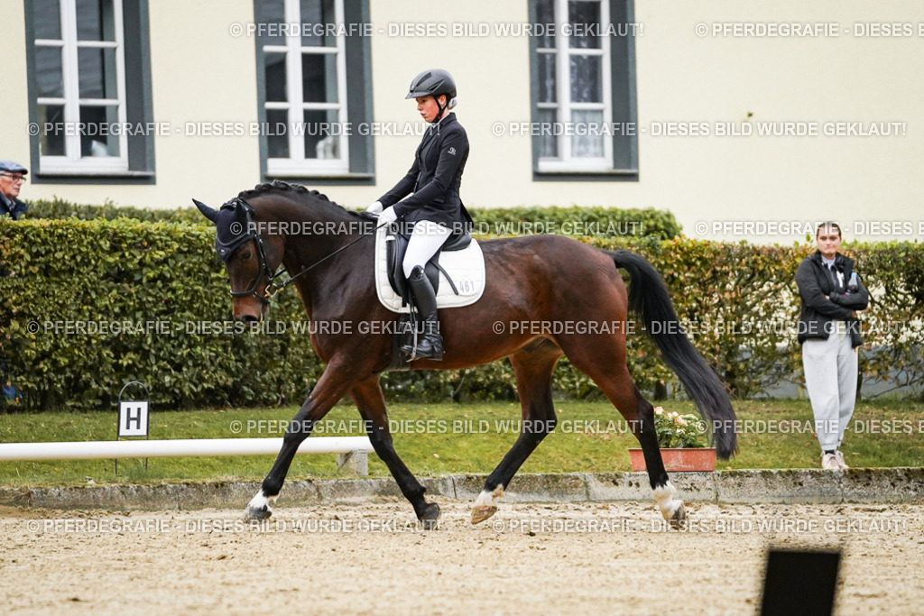 DSC06448 | Pferdegrafie