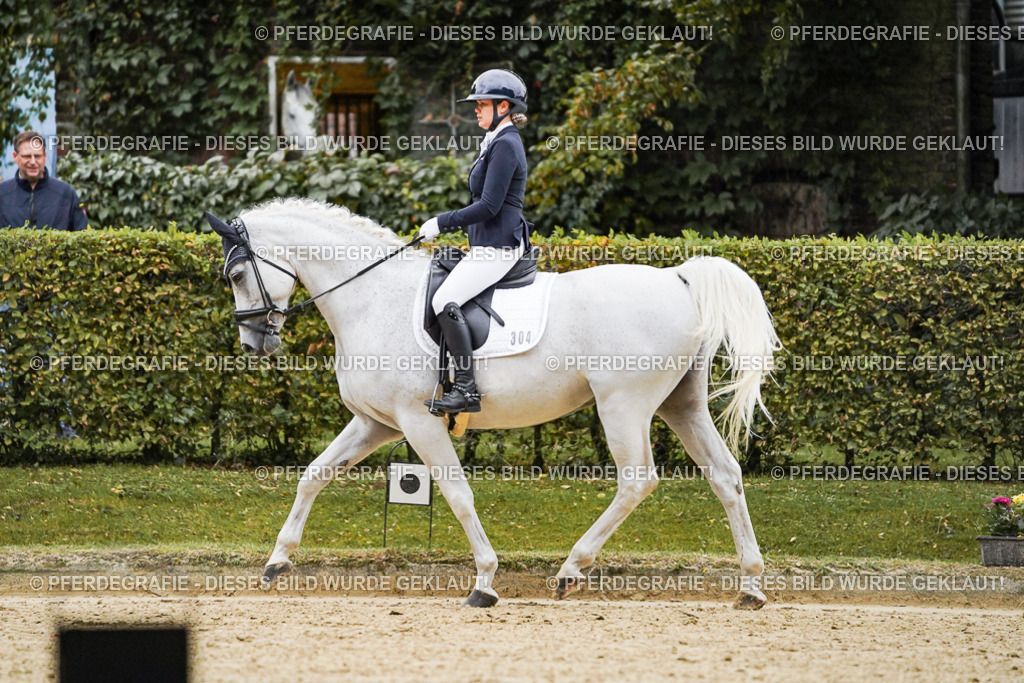 DSC06535 | Pferdegrafie