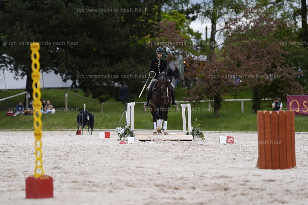 PI26_ST_Stoibphotography_DSC1169.JPG | working equitationturnier fotograf videograf stoibphotography marixx film working equitation deutschland reitsport turnierfotografie eventfotografie equestrian events