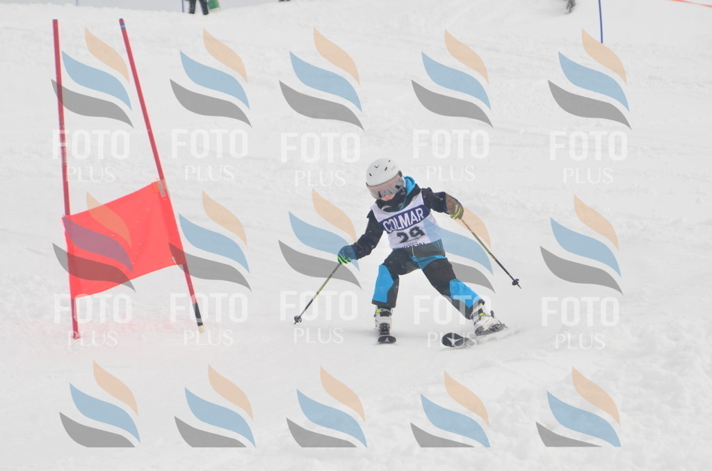 A5233 | holidayphoto