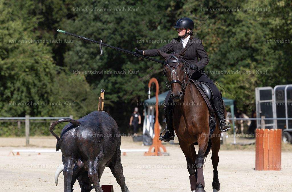 WE_Trail_126_KerstinBernhardt-5 | working equitationturnier fotograf videograf stoibphotography marixx film working equitation deutschland reitsport turnierfotografie eventfotografie equestrian events