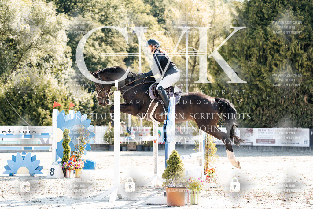 CK902506 | Turnierfotografie Pferdefotografie Trier Rheinland-Pfalz Pferdesport Reitsport Tierfotografie Sportfotografie Pferdevideo Pferdevideografie Equestrianvideography equestrianphotography  - Realisiert mit Pictrs.com