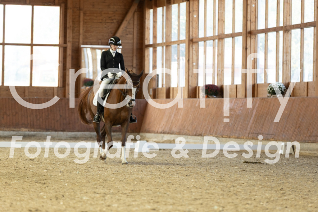 IMG_5202 | Creatify Fotografie