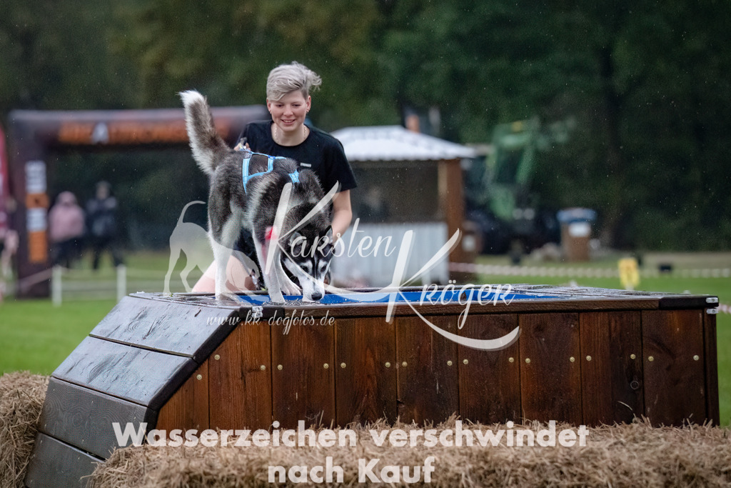 0822-_ZZ91127-Bearbeitet-Bearbeitet | kk-dogfotos