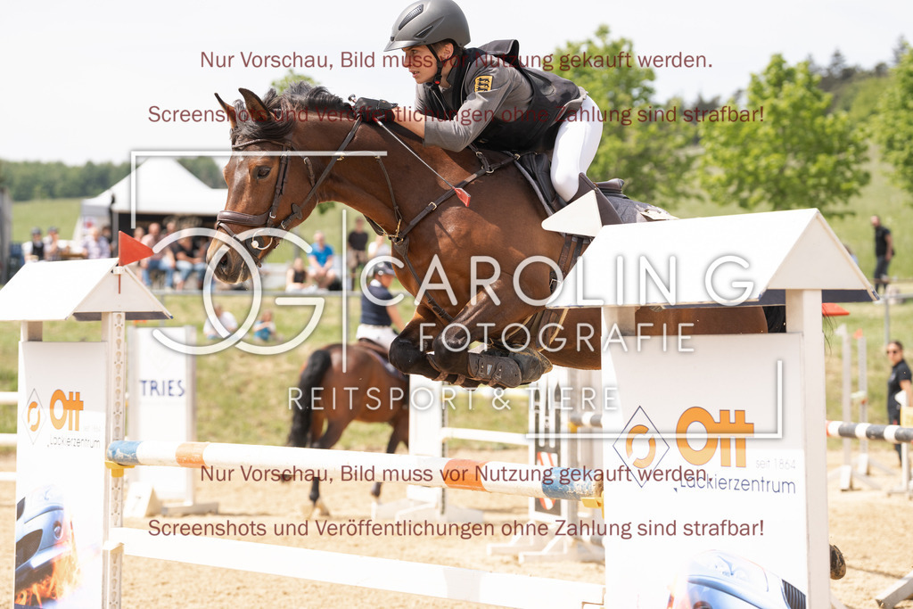 DSC06780 | Springturnier_Ehingen_Mai_2026, Moritz_Steimle, Sternenstaub_SWS