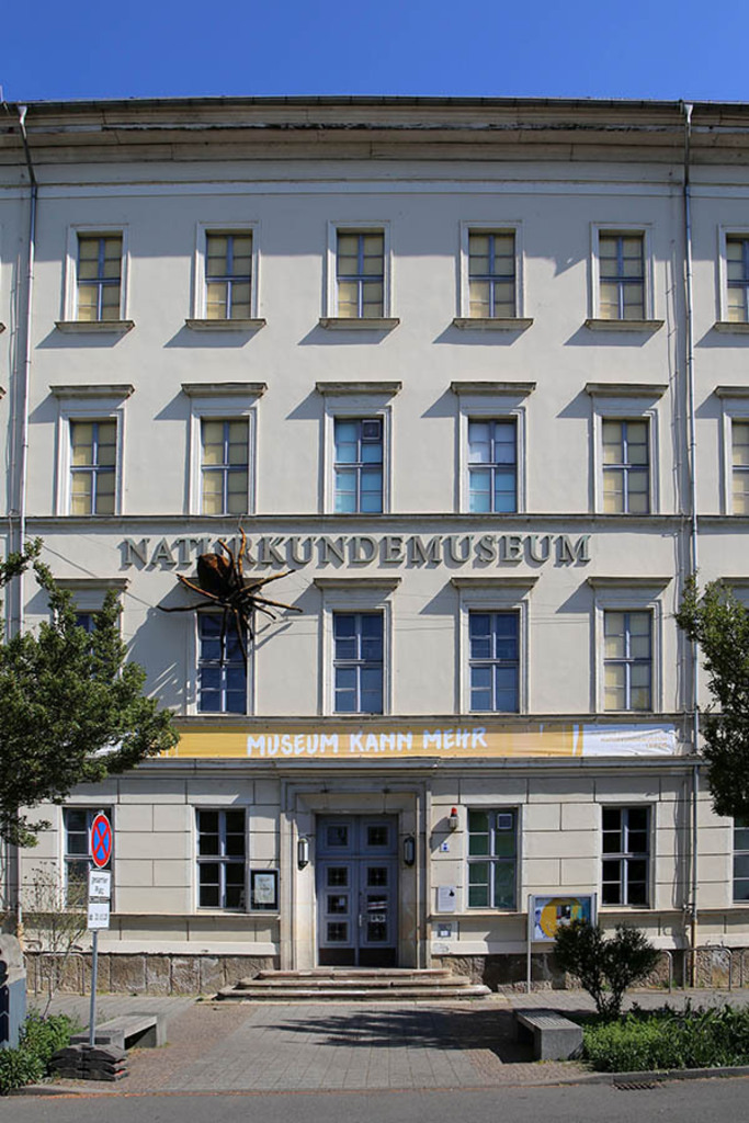 Foto: Leipzig - Naturkundemuseum Leipzig | Das Team hinter BILDLEXIKON LEIPZIG bündelt historische wie aktuelle Informationen über die Stadt Leipzig in Text und Bild auf einer Plattform und stellt diese der interessierten Öffentlichkeit zur Verfügung.