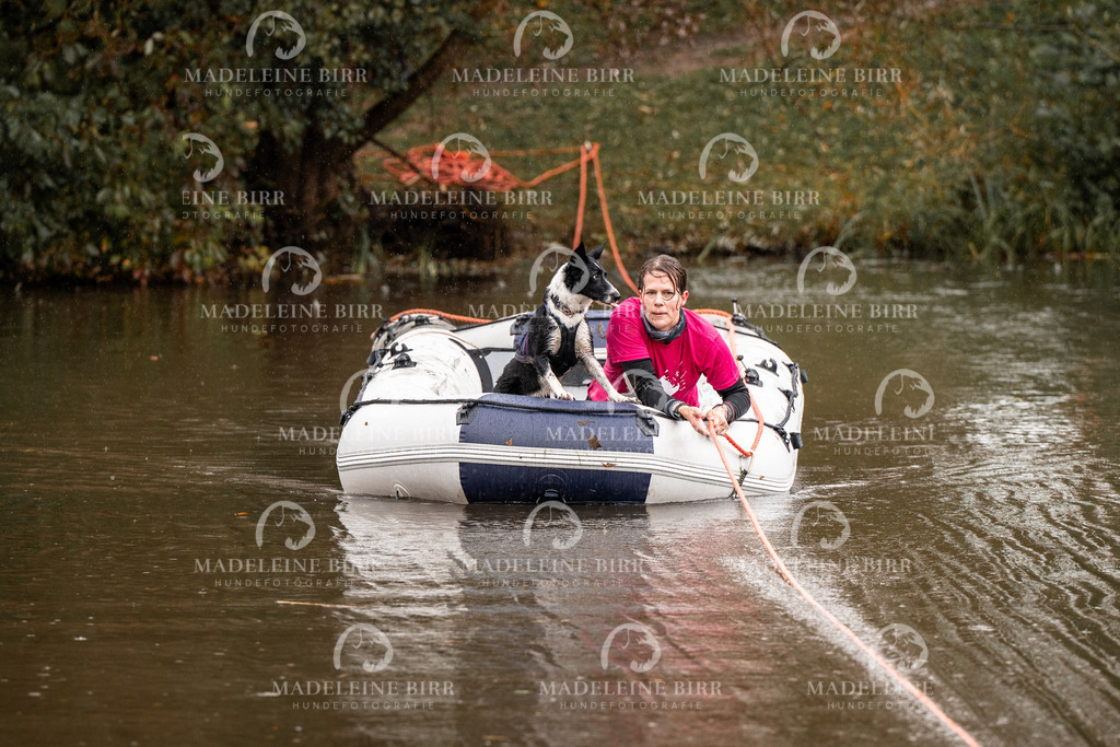 madeleinebirr-fotografie2025.campcanis.11-12Uhr-377 | hundefotografie-birr
