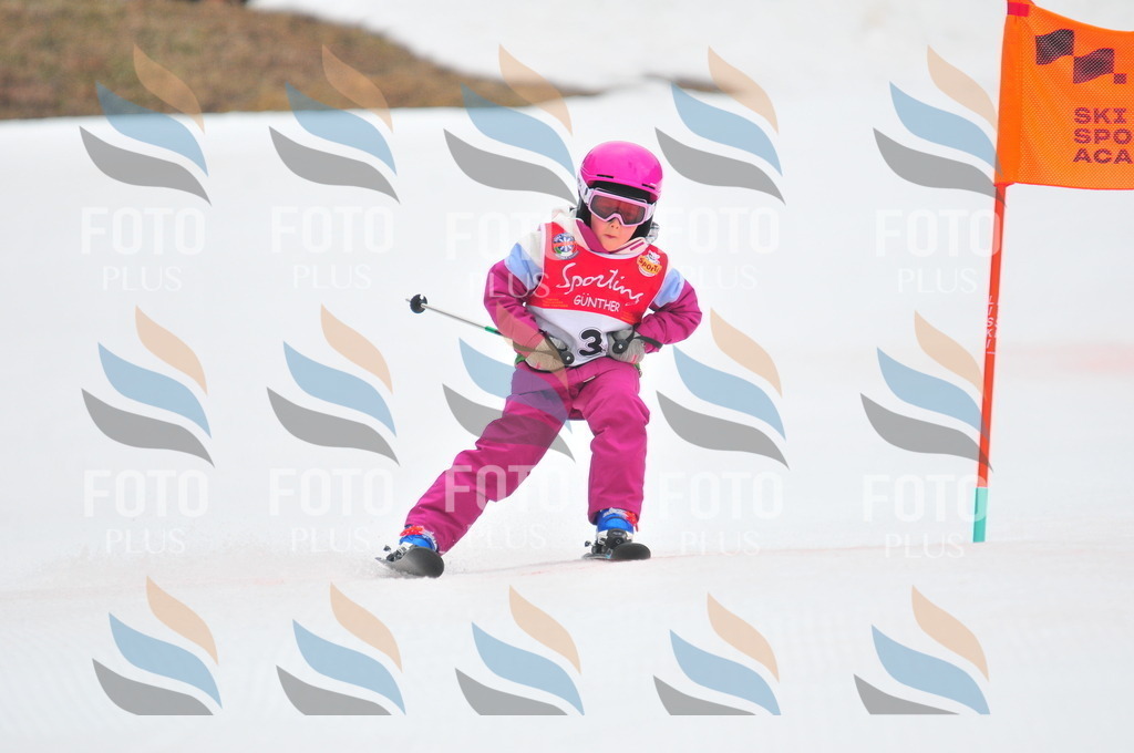 C0486 | holidayphoto