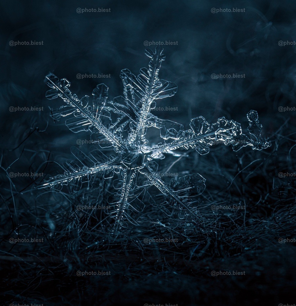 Schneeflocke #22 | Eine (von vielen) filigranen Schneeflocken in meinem ersten Makro-Schneeflocken-Winter. - Realisiert mit Pictrs.com
