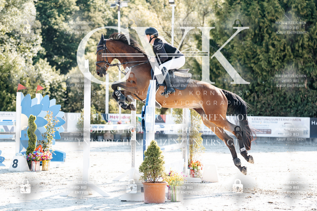 CK901754 | Turnierfotografie Pferdefotografie Trier Rheinland-Pfalz Pferdesport Reitsport Tierfotografie Sportfotografie Pferdevideo Pferdevideografie Equestrianvideography equestrianphotography  - Realisiert mit Pictrs.com