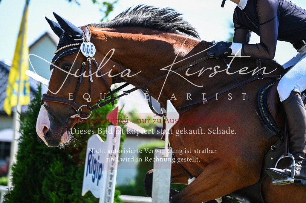 DSC_1615 | Pferde- und Turnierfotografie in Westsachsen. Pferdeportraits, Auftragszeichnungen und intuitive Kunst.