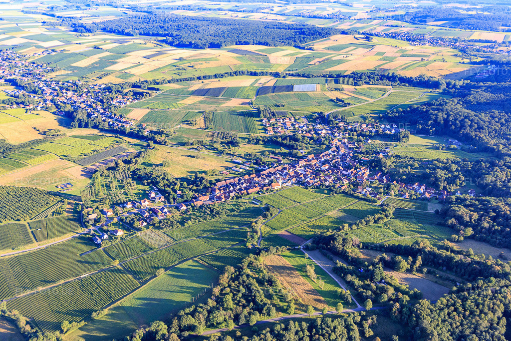 Luftbild: Ortsansicht aus Norden in Rott im Bundesland Bas-Rhin in Frankreich. – Foto: IMG_142325.jpg vom 08.07.2024 durch Werner Riehm/FLY-FOTO.de – Auflösung des Originals: 5472 x 3648 px