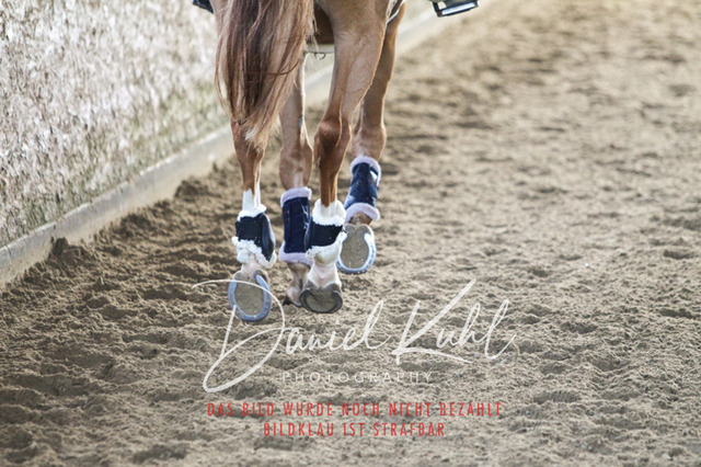 DKP42229 | Turniersportfotografie; Pferdefotografie; Dressurfotografie