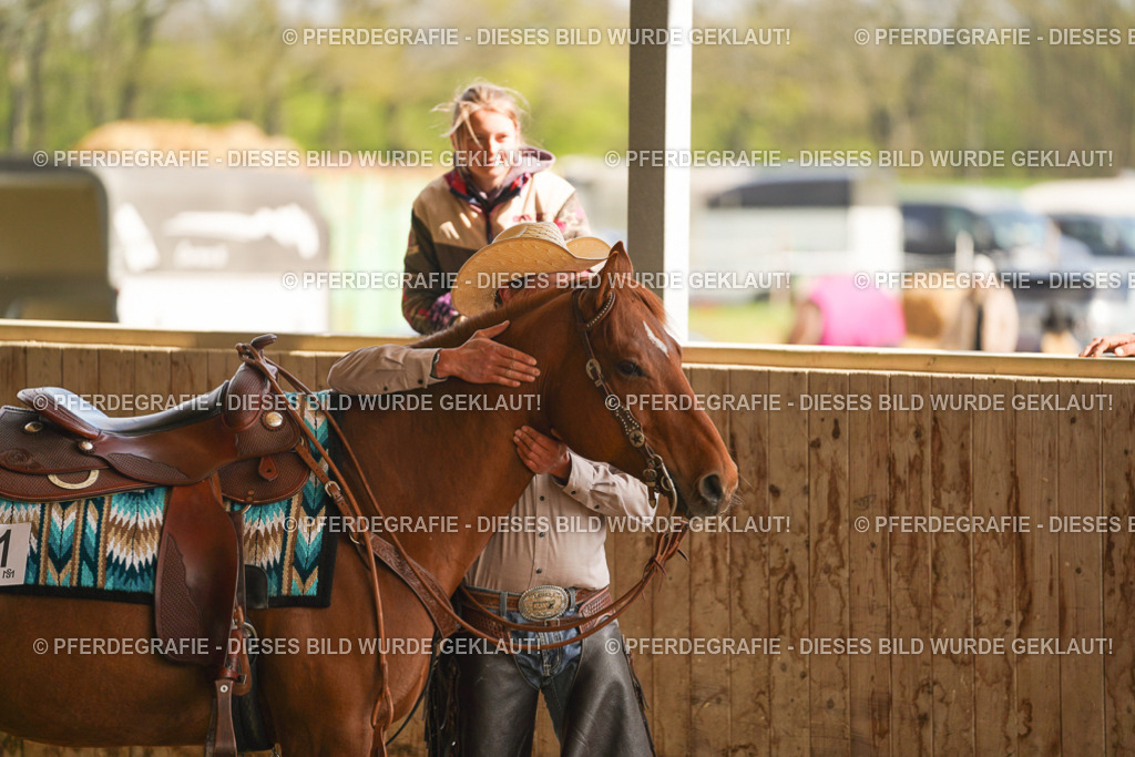 DSC03060 | Pferdegrafie