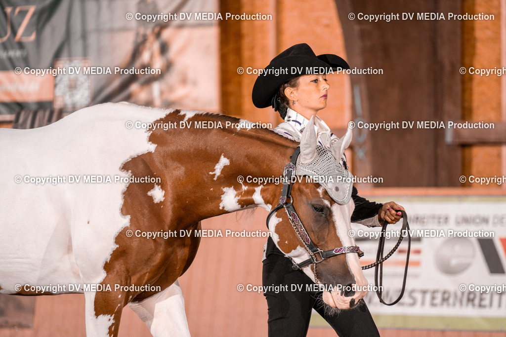 NE200082 | dv-media-shop - Realisiert mit Pictrs.com