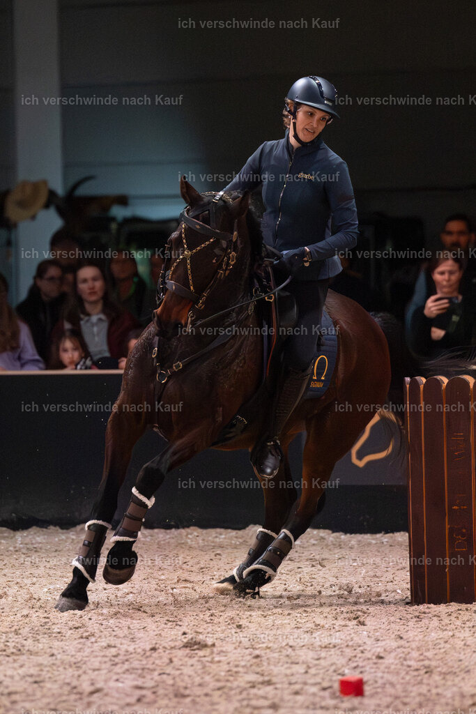 JoseraCup-161 | working equitationturnier fotograf videograf stoibphotography marixx film working equitation deutschland reitsport turnierfotografie eventfotografie equestrian events