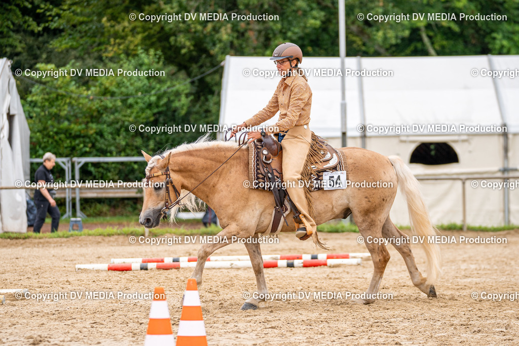 LM Heiligenwald Tag 3-937 | dv-media-shop - Realisiert mit Pictrs.com