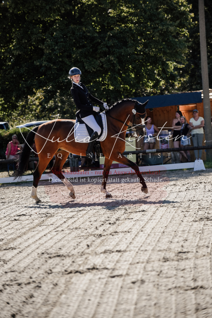 DSC_0330 | Pferde- und Turnierfotografie in Westsachsen. Pferdeportraits, Auftragszeichnungen und intuitive Kunst.