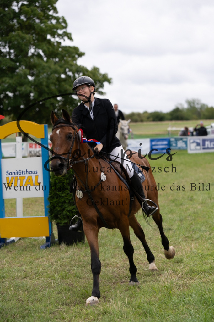 A7V05636 | Pferdefotograf