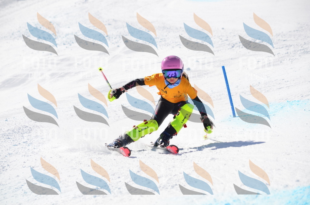 C8534 | holidayphoto