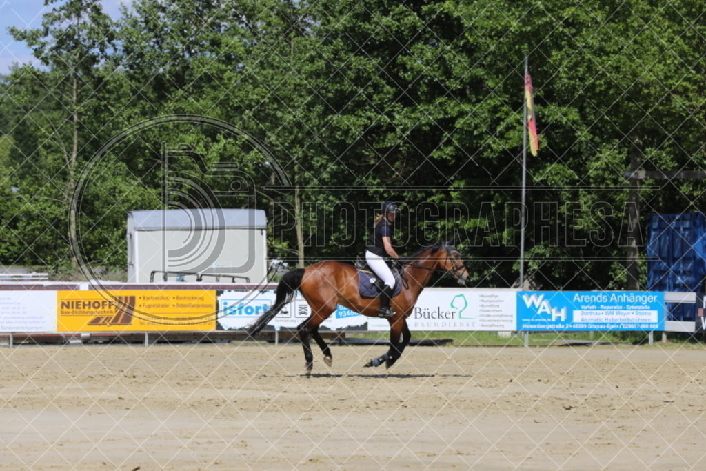 IMG_5398 | photographesa-joergens - Realisiert mit Pictrs.com