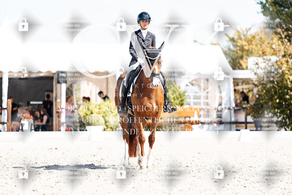 CK904007 | Turnierfotografie Pferdefotografie Trier Rheinland-Pfalz Pferdesport Reitsport Tierfotografie Sportfotografie Pferdevideo Pferdevideografie Equestrianvideography equestrianphotography  - Realisiert mit Pictrs.com