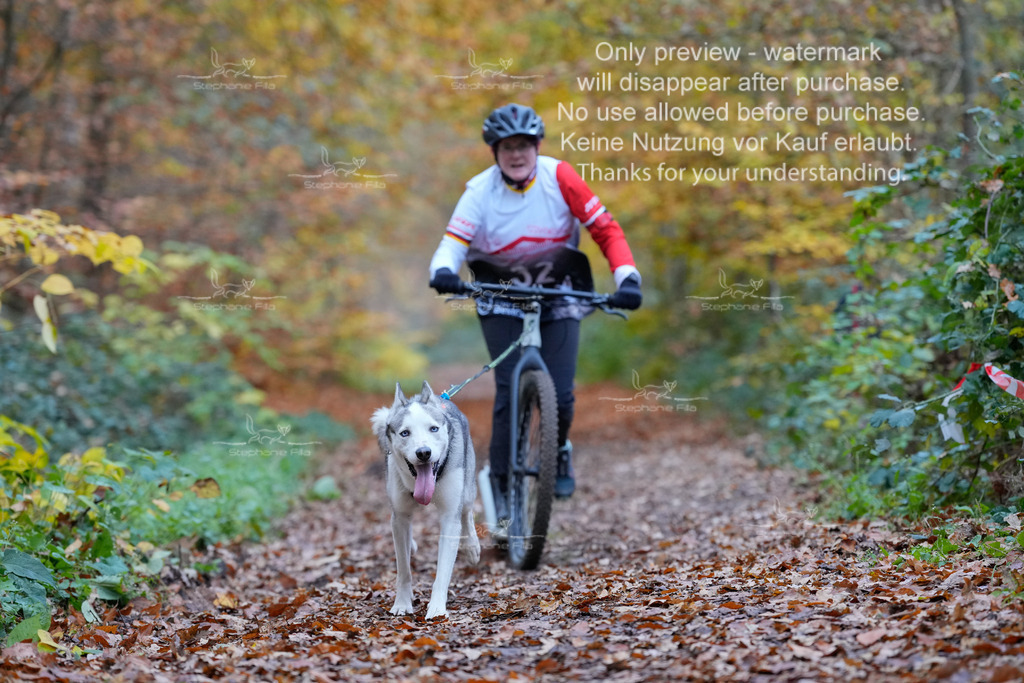 Scooter_So-89 | stephaniefillaphotographie - Realisiert mit Pictrs.com