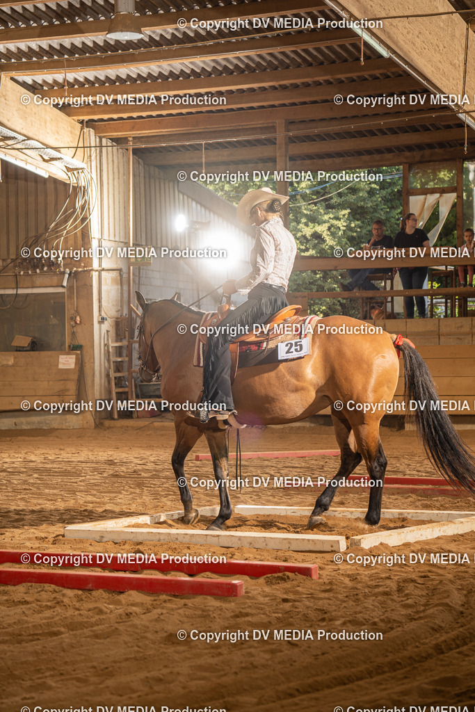 NID02730 | dv-media-shop - Realisiert mit Pictrs.com