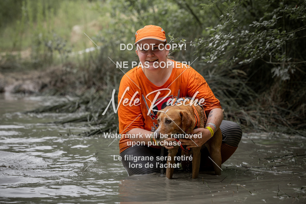 nelerasche_so1515-1530_168 | nelerasche