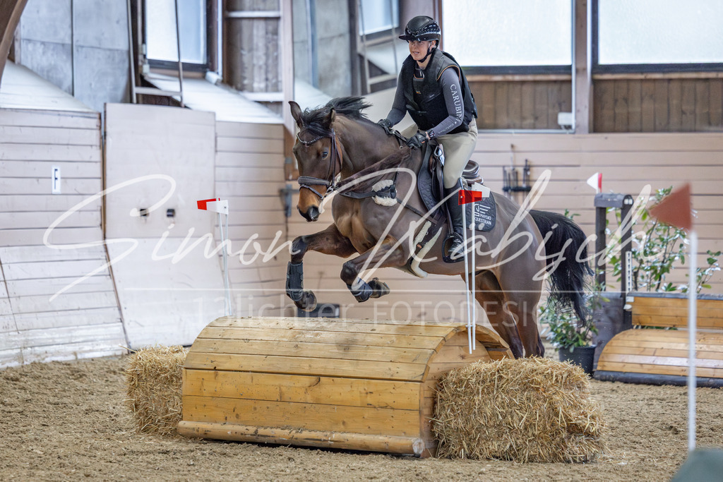 20260221-_3LI0518 | Tierfotografie Pferde, Hunde, Katzen, Haustiere.
Turnierfotografie Reitturniere, Reiten, Springreiten, Dressur in Hanau, dem Main-Kinzig-Kreis und dem Rhein-Main- Gebiet um Frankfurt
