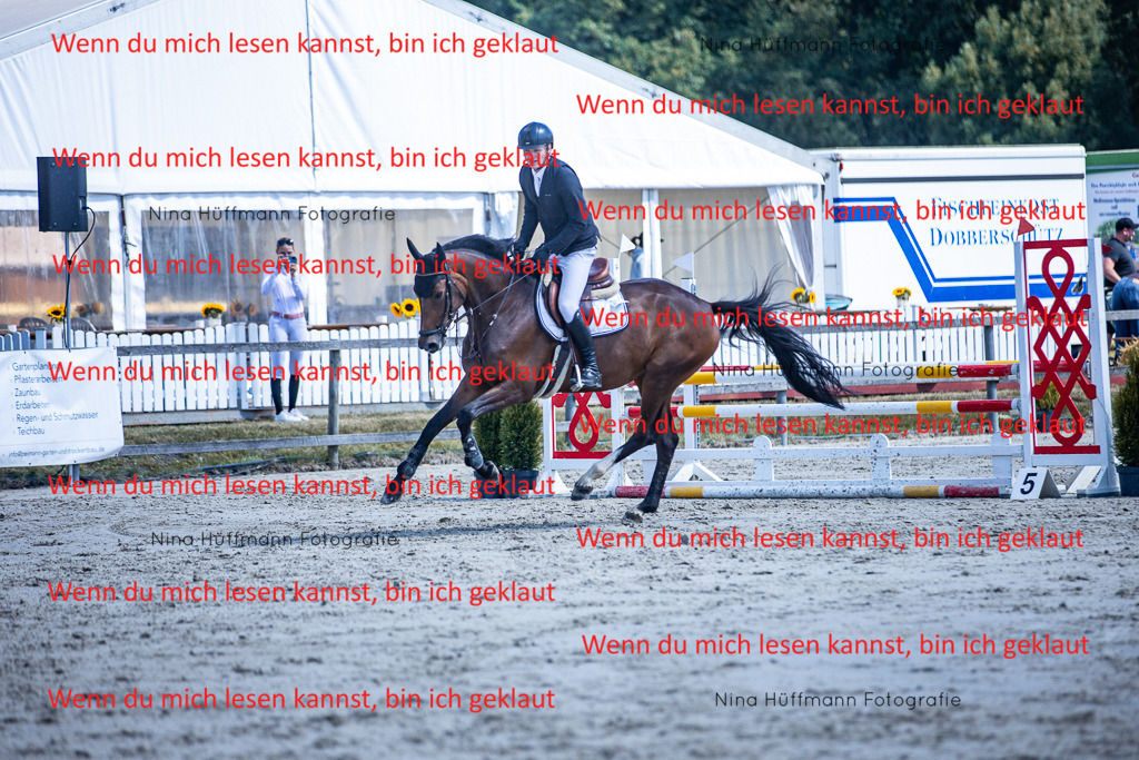 BK1A5275 | Turnierbilder Turnierfotos Nina Hüffmann Turnierfotografie Pferdefotografie Tierzeichnung Haustierzeichnung Pferdezeichnung Hundezeichnung Videograf  - Realisiert mit Pictrs.com