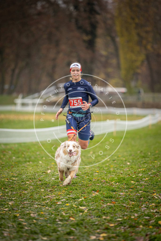 CaniXpix_DV3A9550 | Hundefotografie, Tierfotograf, Pfotenfotografie, Fotoshooting Hund, Hunde Portrait, Hundesport, Hundeportraits, Heideshooting, Hunde, Sportfotograf, Hundefotograf, Turnierhundsport, THS,  - Realisiert mit Pictrs.com