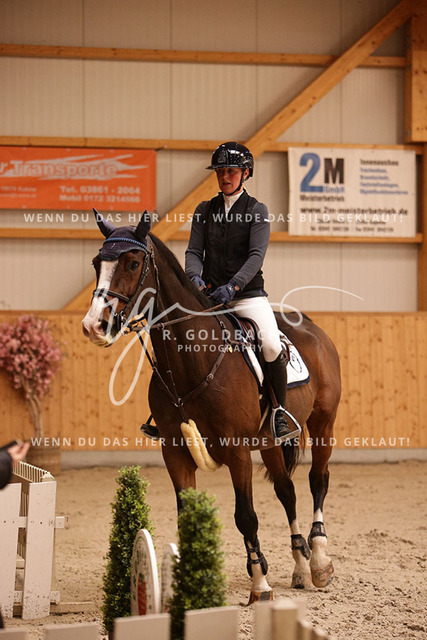 1J2A6904Franziska Klöpper_ Cetellus_ Kn110_ Glantz_ Hohen Wieschendorf | Foto- und Videografie für alles rund ums Pferd. Hochwertige Bilder und Videos vom Spring- und Dressurreiten, Voltigieren & mehr. Jetzt aktuelle Veranstaltungen und Preise im Shop ansehen. - Realisiert mit Pictrs.com