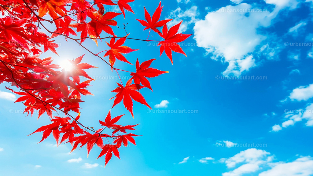 Red Maple Leaves Against Blue Sky | Vibrant red maple leaves set against a clear blue sky, this artwork captures the beauty of autumn in striking colors. Ideal for adding a bold, seasonal accent to your decor. - Realisiert mit Pictrs.com