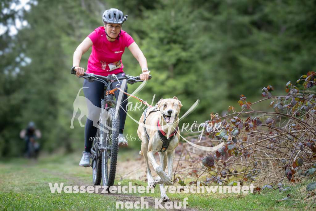 1310_ZZ93814 | kk-dogfotos