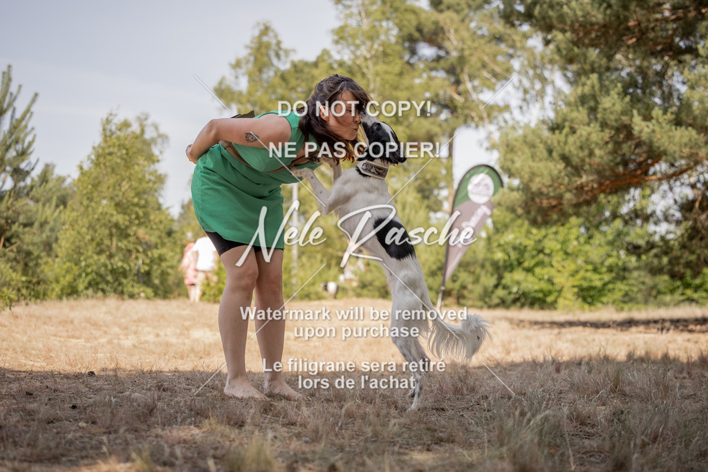 nelerasche_soDD2_443 | nelerasche