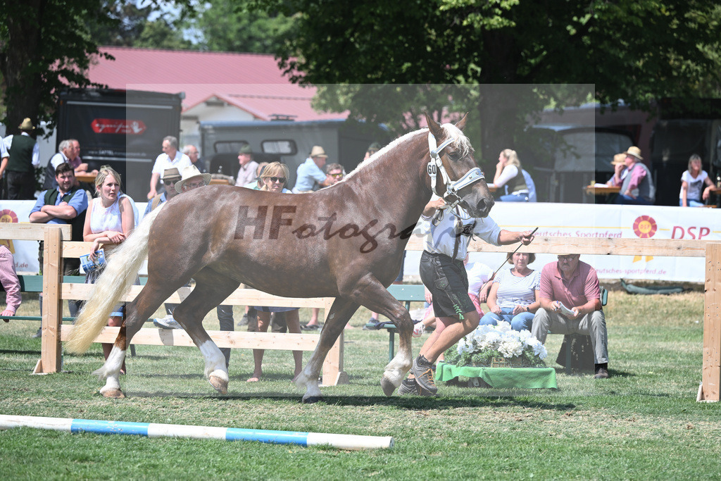Kat-Nr. 60 Marie_Hoeck_20230980 | hf-fotografie - Realisiert mit Pictrs.com