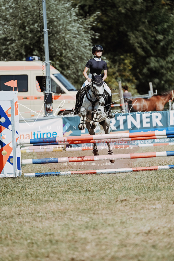 DSC_0029 | Pferde- und Turnierfotografie in Westsachsen. Pferdeportraits, Auftragszeichnungen und intuitive Kunst.