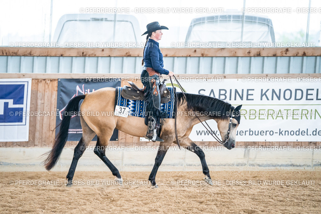 DSC03445 | Pferdegrafie