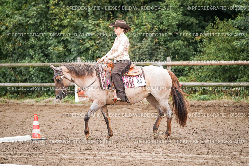 DSC03088 | Pferdegrafie