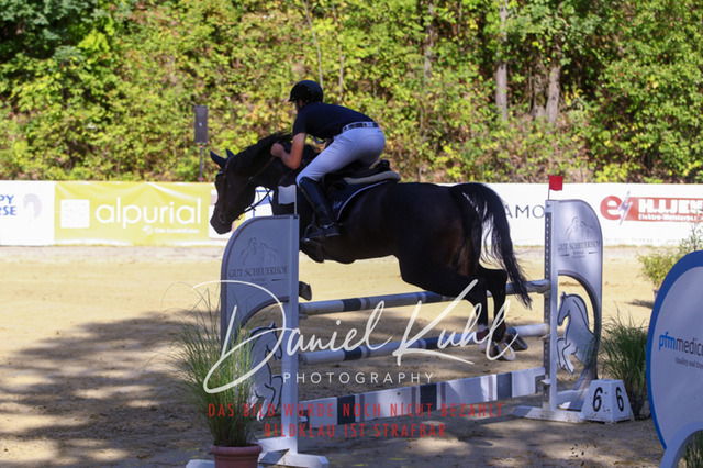 DKP43464 | Turniersportfotografie; Pferdefotografie; Dressurfotografie